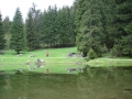 dsc07292_1024x768