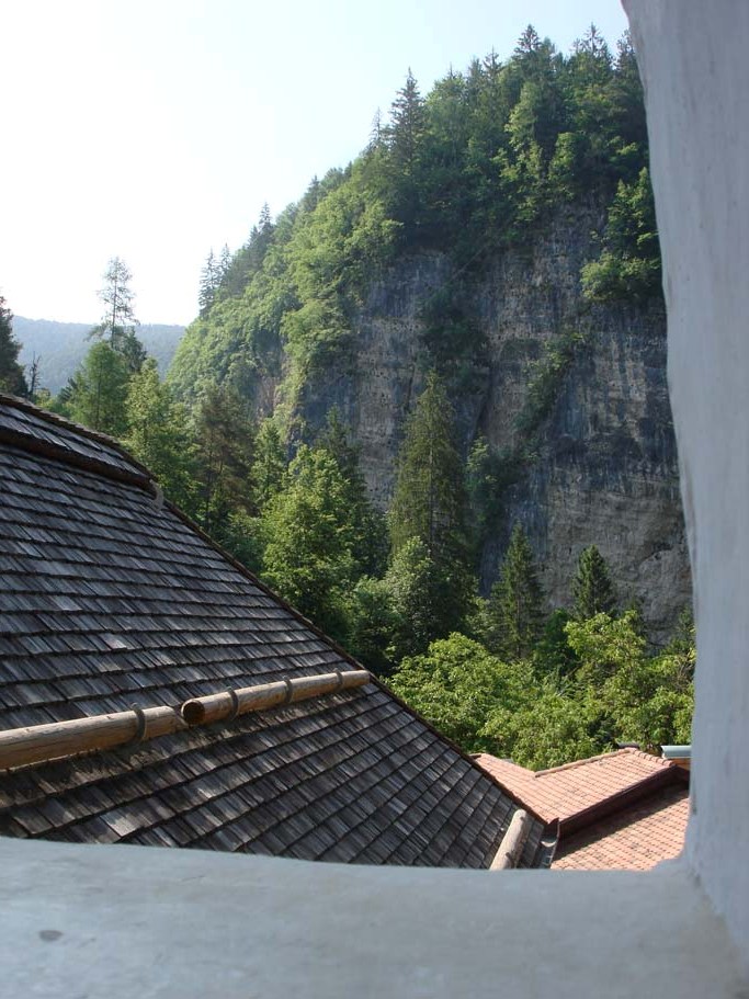 DSC01903